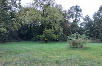 Dwór na sprzedaż Brodnica, Wielkopolskie, Park