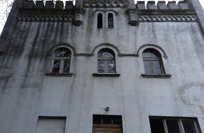 Dwór na sprzedaż Brodnica, Wielkopolskie, Widok z boku