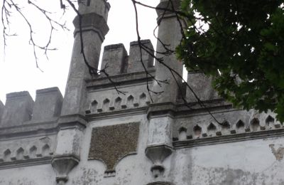 Dwór na sprzedaż Brodnica, Wielkopolskie, Detale architektoniczne