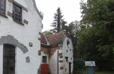 Dwór na sprzedaż Brodnica, Wielkopolskie, Zdjęcie 7/12