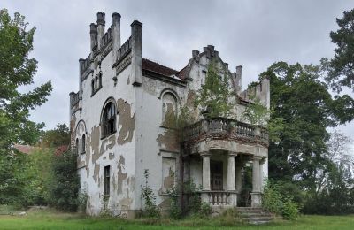 Dwór na sprzedaż Brodnica, województwo wielkopolskie:  Taras