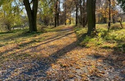 Dwór na sprzedaż Mzurów, województwo śląskie:  