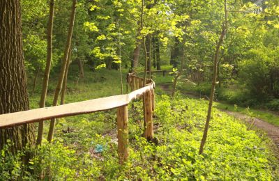 Pałac na sprzedaż Stołeczna, Pałac w Stołecznej 20, Zachodniopomorskie, Park