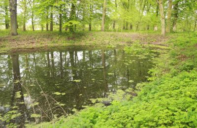 Pałac na sprzedaż Stołeczna, Pałac w Stołecznej 20, Zachodniopomorskie, Jezioro/staw
