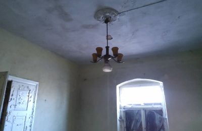 Dwór na sprzedaż Smaszew, Dwór w Smaszewie, Wielkopolskie, Zdjęcie 8/12