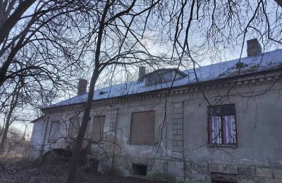 Dwór na sprzedaż Smaszew, Dwór w Smaszewie, Wielkopolskie, Widok z tyłu