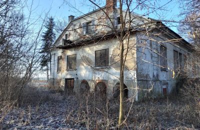 Dwór na sprzedaż Smaszew, Dwór w Smaszewie, Wielkopolskie, Widok z boku