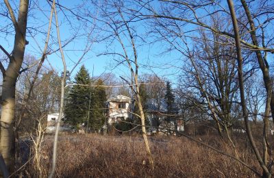 Dwór na sprzedaż Smaszew, Dwór w Smaszewie, Wielkopolskie, Działka