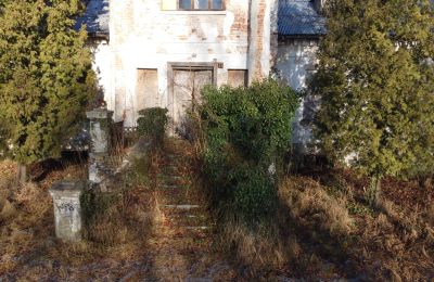 Dwór na sprzedaż Smaszew, Dwór w Smaszewie, Wielkopolskie, Wejście