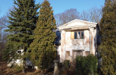 Dwór na sprzedaż Smaszew, Dwór w Smaszewie, Wielkopolskie, Widok z przodu