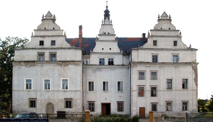 Pałac na sprzedaż Wilków Wielki, Dolnośląskie,  Polska