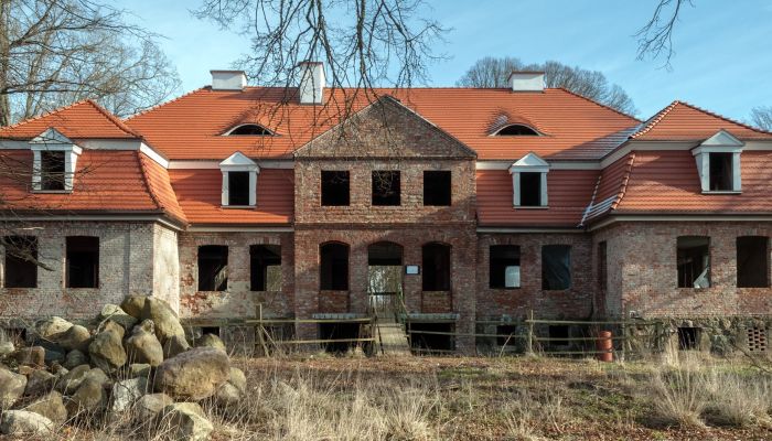 „Pałacyk plus” – Boom pałacowy na polskim rynku nieruchomości?