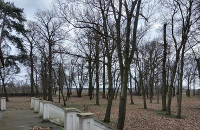 Dwór na sprzedaż Gierłachowo, Dwór w Gierłachowie 18a, Wielkopolskie, Park