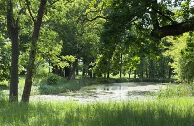 Dwór na sprzedaż Gierłachowo, Dwór w Gierłachowie 18a, Wielkopolskie, Zdjęcie 33/34