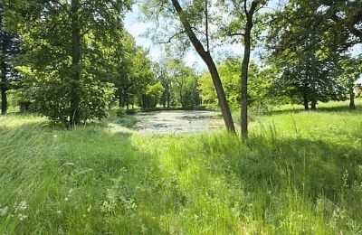 Dwór na sprzedaż Gierłachowo, Dwór w Gierłachowie 18a, Wielkopolskie, Zdjęcie 34/34