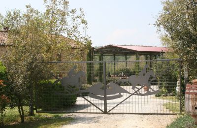 Dom na wsi na sprzedaż Arezzo, Toskania:  RIF2262-lang2#RIF 2262 Zufahrtstor