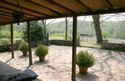 Dom na wsi na sprzedaż Arezzo, Toskania:  RIF2262-lang13#RIF 2262 Vorplatz