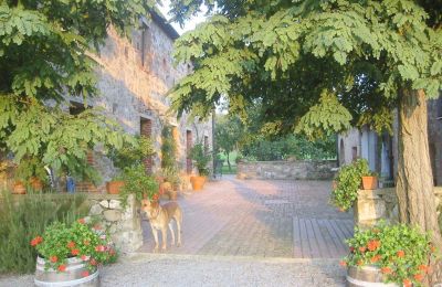 Dom na wsi na sprzedaż Arezzo, Toskania:  RIF2262-lang6#RIF 2262 Blick auf den Hof zwischen Haupthaus und Nebengebäude