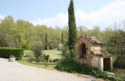 Dom na wsi na sprzedaż Arezzo, Toskania:  RIF2262-lang23#RIF 2262 Einfahrt