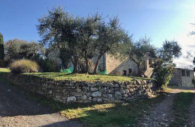 Dom na wsi na sprzedaż Castellina in Chianti, Toskania:  RIF 2767 Olivenbäume vor dem Gebäude