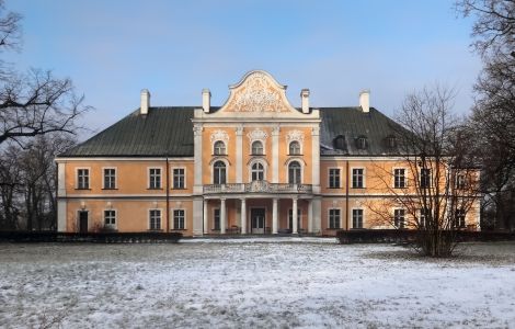 Czempiń, Pałac Czempiń - Pałac w Czempiniu