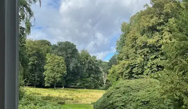 Park zamkowy dworu Niendorf