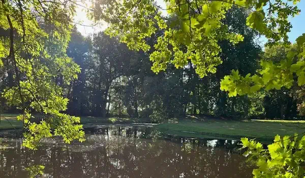 Park z stawem, dwór Niendorf