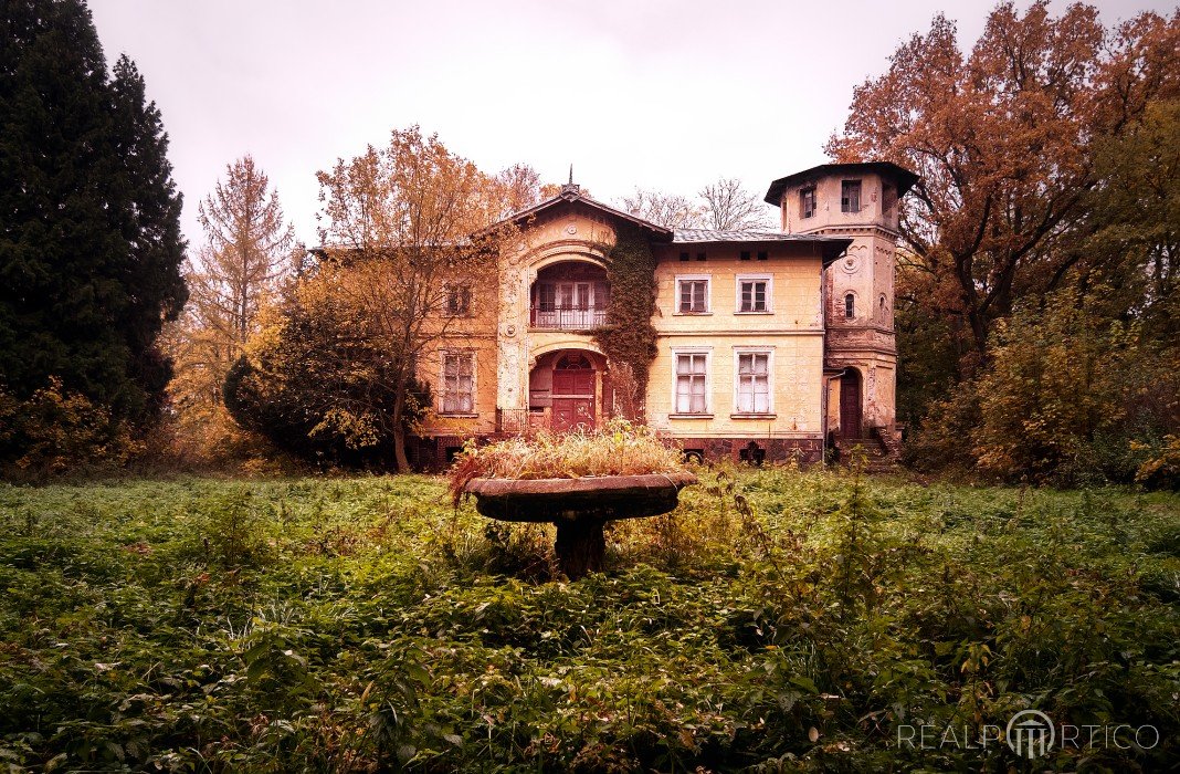 Pałac w Stawianach, Stawiany