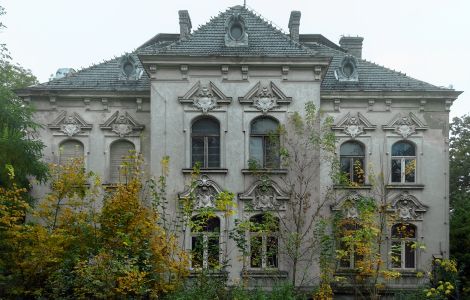 Nielęgowo, Nielęgowo - Willa Berlińska - Pałac w Nielęgowie