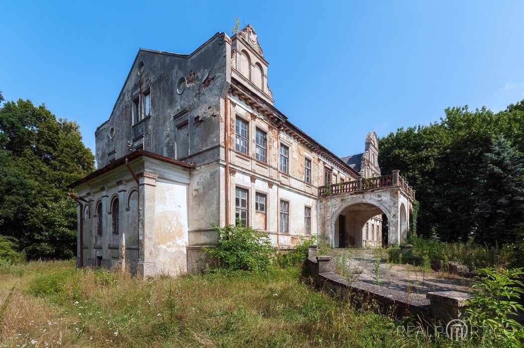 Pałac w Dalborowicach, Dalborowice