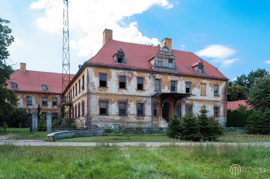 Pałac w Dalkowie, Dalków