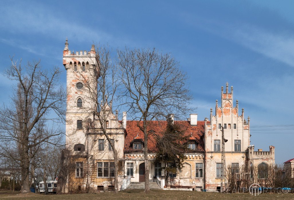 Pałac w Pęgowie, Pęgów