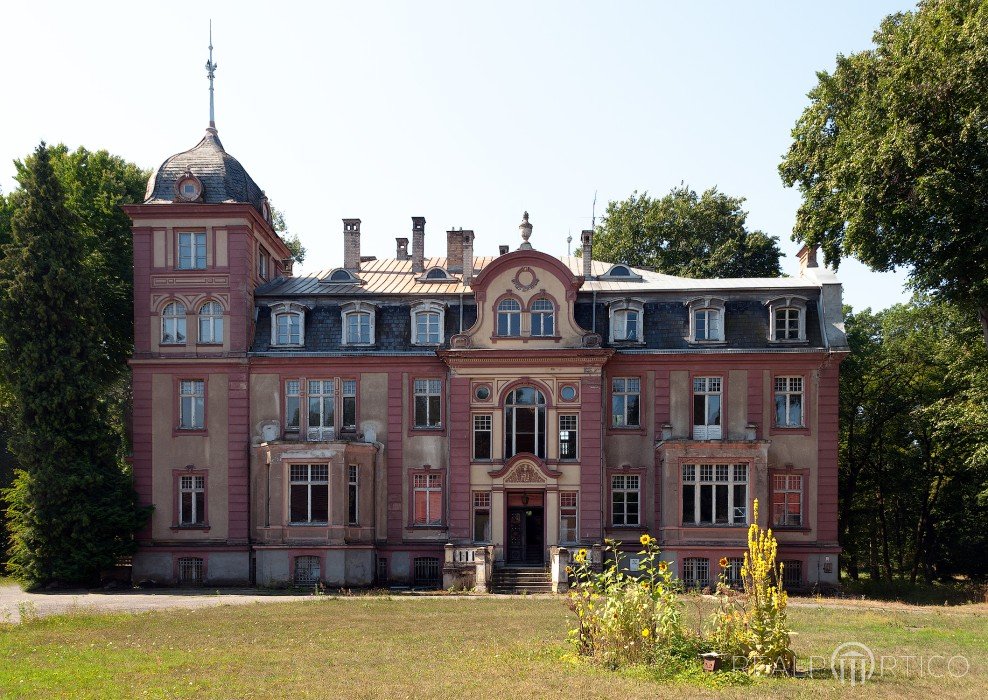 Pałac w Brzeźnicy, Brzeźnica