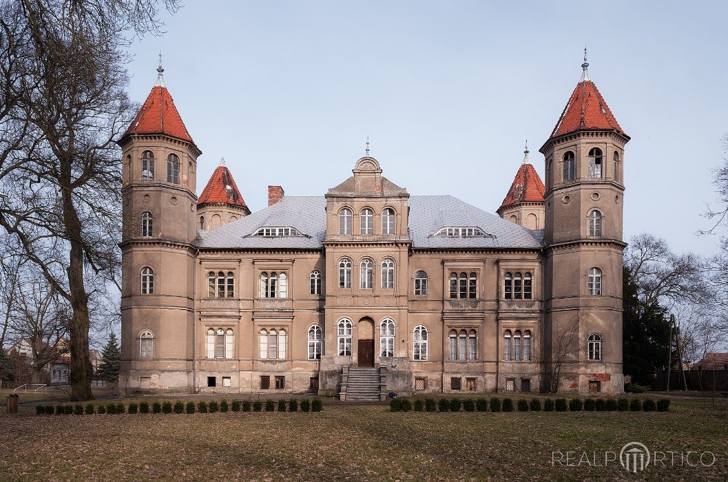 Pałac w Dąbrówce Wielkopolskiej, Dąbrówka Wielkopolska