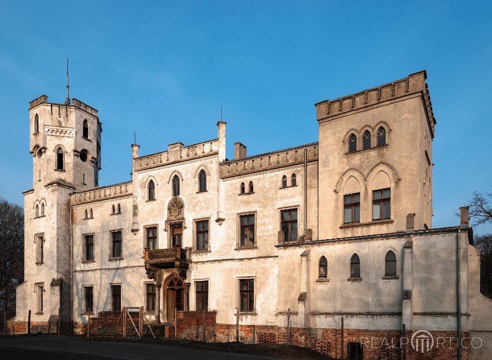 Pałac w Drwalewicach, Drwalewice
