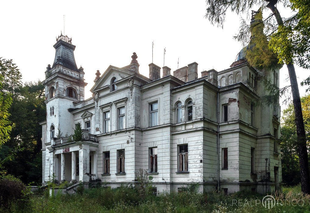 Pałac w Woli Boglewskiej, Wola Boglewska
