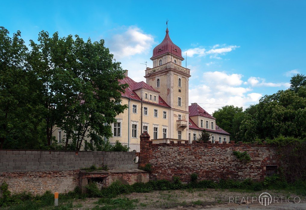 Pałac w Dąbrówce Górnej, Dąbrówka Górna