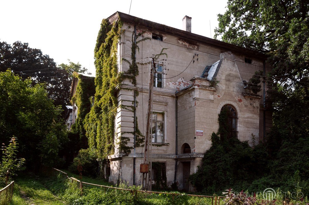 Pałac w Jankowie, Jankowo