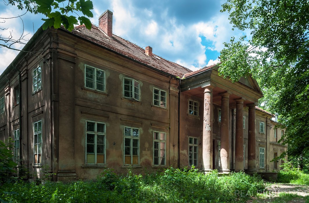 Pałac w Mchach, Mchy