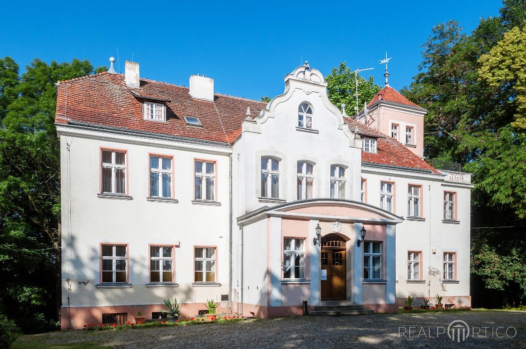 Pałac w Witosławiu, Witosław