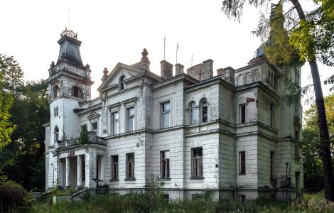  - Pałac w Woli Boglewskiej