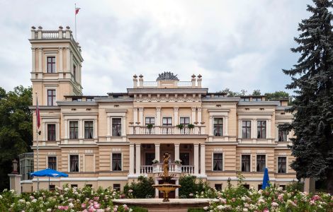  - Pałac w Biedrusku