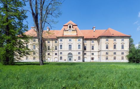  - Zamek Novo Celje