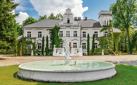 Pałace na sprzedaż Łódzkie