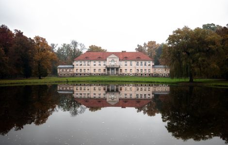 Owińska, palac - Pałac w Owińskach