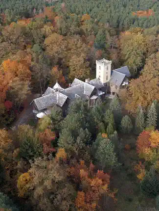 Pałac w Mojej Woli, Sośnie, Wielkopolskie