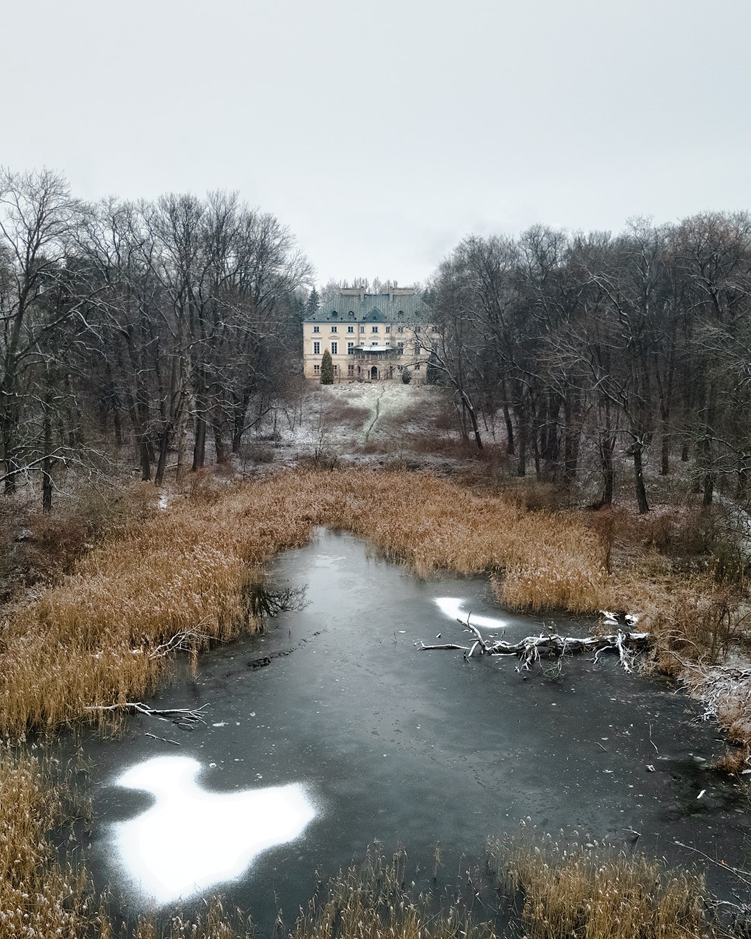 Pałac na Mazowszu: Świdno